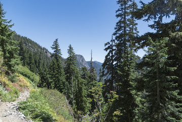 Obraz premium Hiking trail in summer over evergreen forest valley