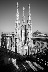 Milan Duomo detail - black and white image