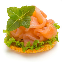 Bread with fresh salmon fillet isolated on white background, top view.