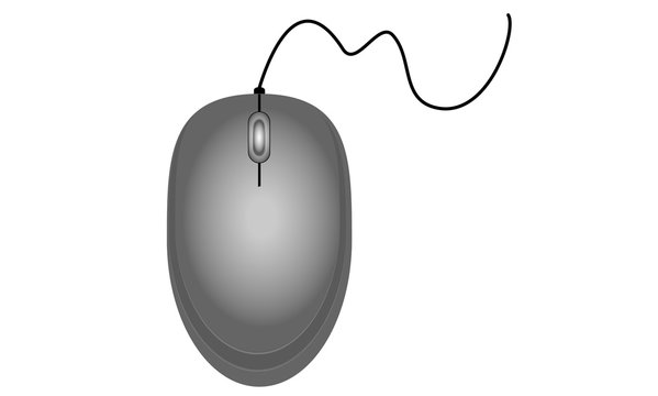 Gray computer mouse