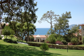 View of the green territory, pines and the blue sea in the hotel.