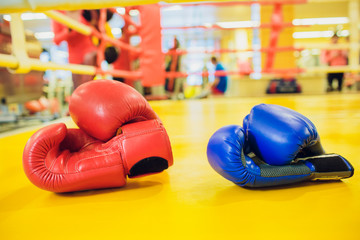 Red And Blue boxing gloves hanging on a Blue wall IN Gym Fitness