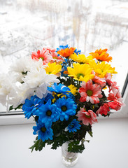 Bouquet of beautiful multi-colored chrysanthemums in a vase