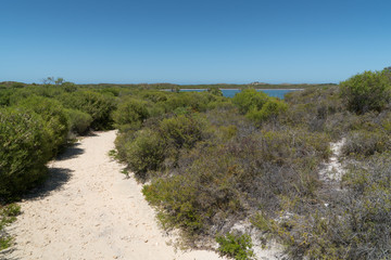 Nambung National Park, Western Australia