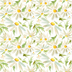 Seamless pattern with camomile flowers