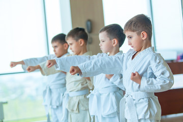 young, beautiful, successful multi ethical kids in karate position