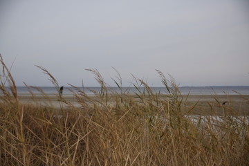 Ostsee 27