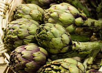 Fototapeta premium natural 