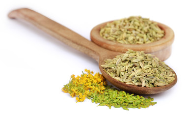 Green fennel seeds with flower