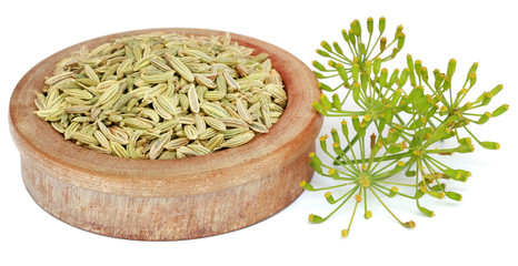 Green fennel seeds with flower