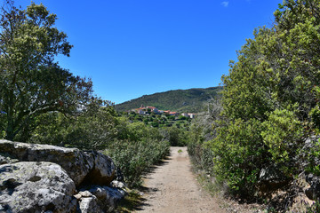 Fototapeta na wymiar Sentier de randonnée dans les Albères