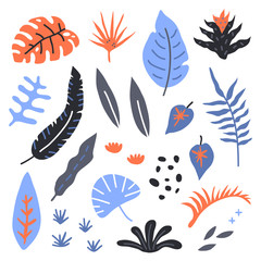 Vector set of abstract plants