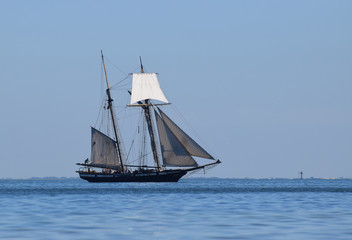 Historic tall ship sailing in bay.