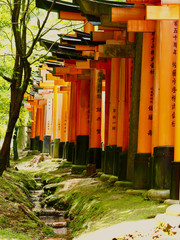 Japan Tor rot Hintergrund Weg