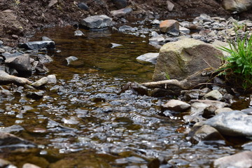 Trickling stream in the Lake District