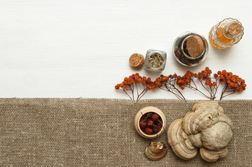 Herbal medicine. Alternative medicine concept. Wild dry rowan berry medicinal tincture and medical fungus Betulinus on white wooden background with copy space.