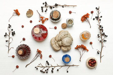 Herbal medicine. Alternative medicine concept. Dry organic natural ingridients. Wild berry...