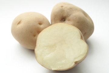 ジャガイモ　男爵