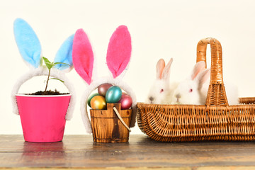 Best Happy easter ideas for happy family. Easter, egg, easter egg hunt, fake bunny ears - Easter day concept.
