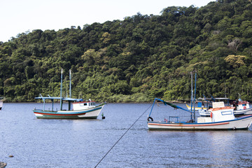 Fishing and tourism boats docked at the pier in several sizes and colors on the coast of São Paulo