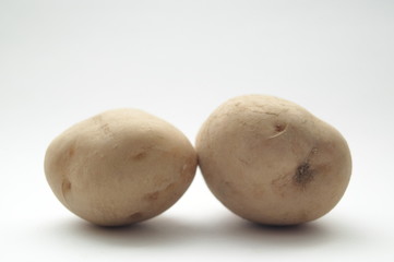 ジャガイモ　男爵