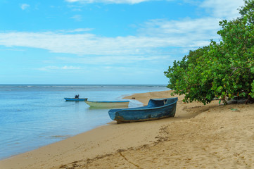 Naklejka na ściany i meble wooden boats on the beach with green plants