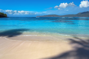 Fototapeta na wymiar Caribbean landscape or seascape. Perfect beach with blue sea
