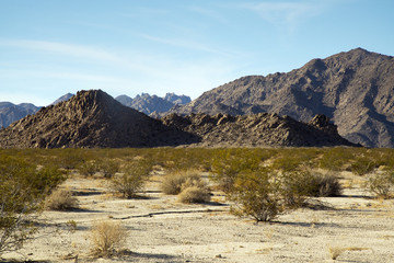 Obraz na płótnie Canvas Desert View From Sheephole Valley Wilderness