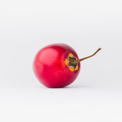 Single Red Tamarillo over white background