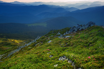 Carpathian mountains summer sunset landscape, natural travel background