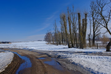 winter landscape in countryside