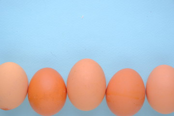 Close up eggs on blue background top view with copy space