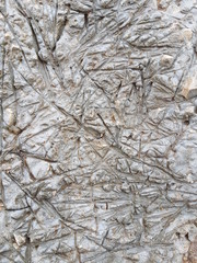 Textura de cemento gris para patrón y fondo