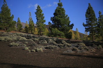Teneriffa