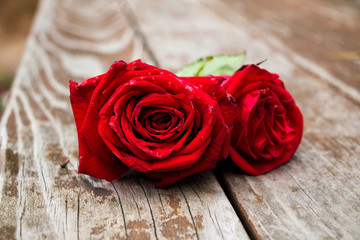 Roses on a Table