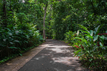 Jardim Botânico - Recife