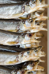 Dried smelt. Horizontal. Macro.