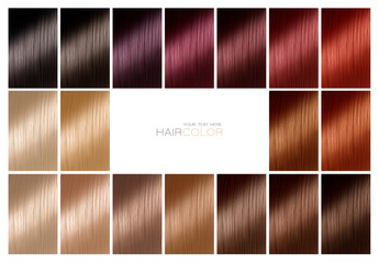 Color chart for hair dye. Tints. Hair color palette with a range of swatches.