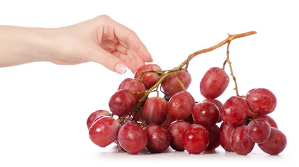Pink grapes female hand