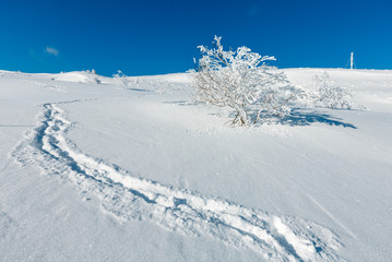 Fototapeta na wymiar Winter hoar frosting trees, tower and snowdrifts (Carpathian mountain, Ukraine)