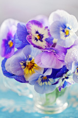 Photo of a beautiful purple pansy flowers close-up in a mug on a light background. Beautiful and delicate flowers. 