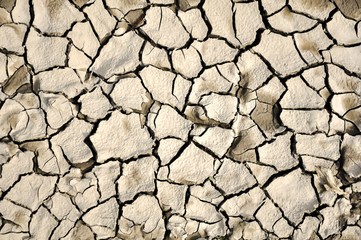 Drought - dry land