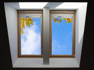roof windows overlooking the blue sky and autumn oak leaves