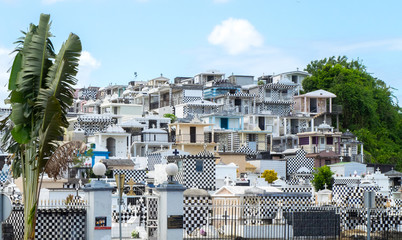 Cemetery of Morne-a-l'eau, Guadeloupe, with typical black and white graves all over the hill