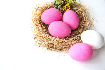 Pink colored Easter eggs in nest on wooden background, selective focus image. Happy Easter card 