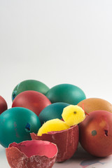 Group of dyed red green yellow Easter eggshells with a chic