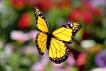 Artificial butterfly on a floral background