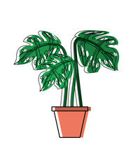 tropical palm in pot interior decoration vector illustration