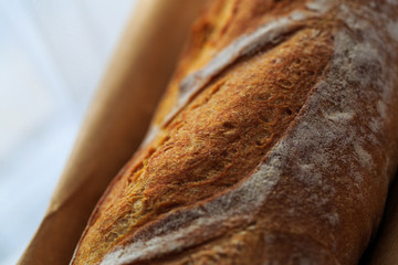 Italian bread displayed in natural light in window