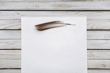Feather on a blank sheet of paper as a symbol of poetry. Writing and poetry concept. Copy space.